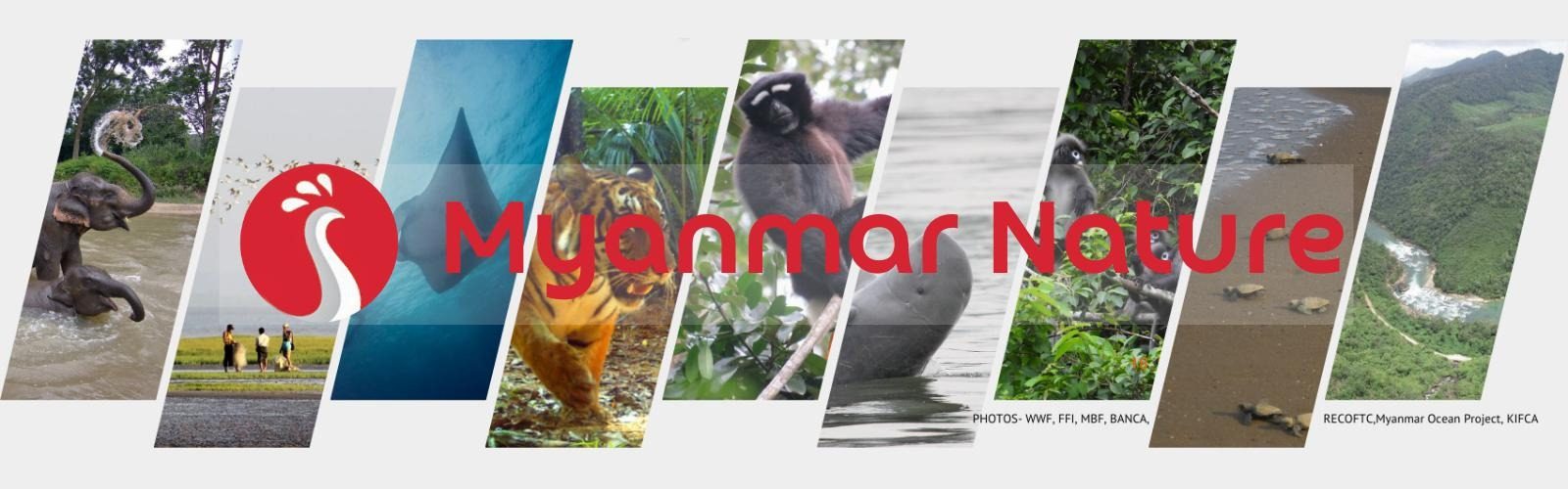 cropped-Myanmar-Nature-1.jpg