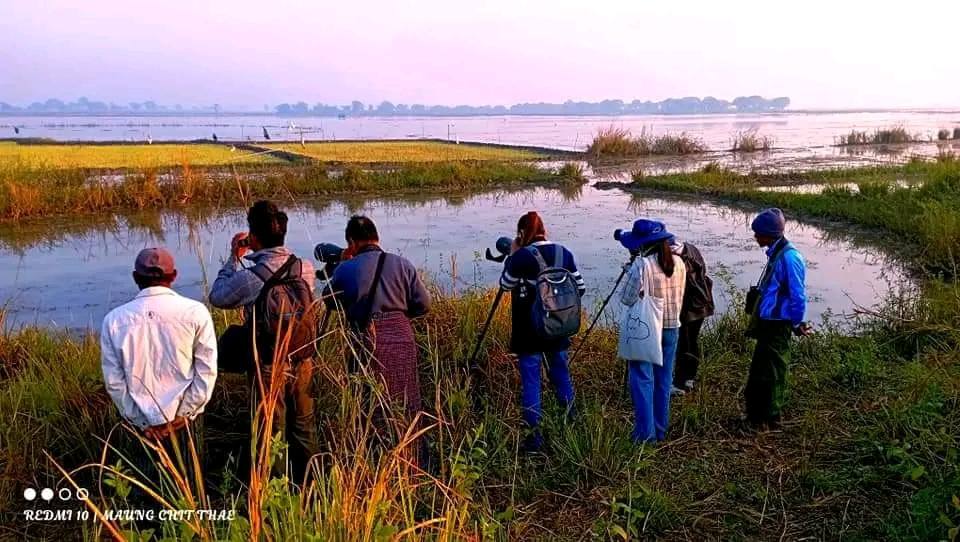 အာရှရေငှက်စာရင်းကောက်မယ့် အစီအစဉ်က ငှက်ဝါသနာရှင်တွေကို ဖိတ်ခေါ်နေ
