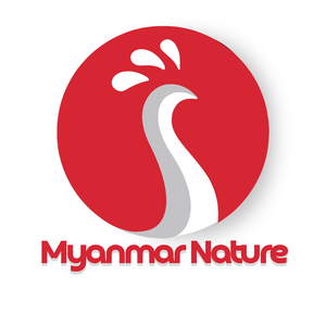 Myanmar Nature